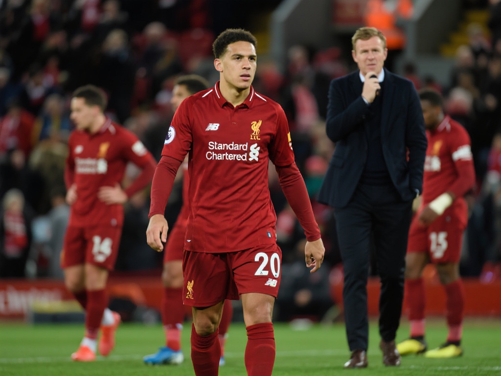 内进行了多 内进行了多