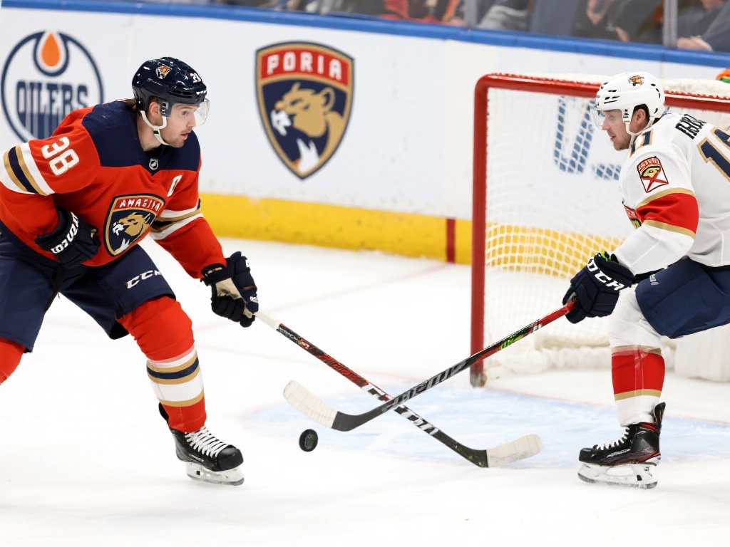 有一个名字 有一个名字